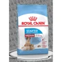 Сухой корм для собак в период беременности Royal Canin Medium Starter и щенков средних пород 1 кг (2993010)
