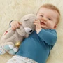 Мягкая игрушка ночник Fisher-Price Сказочные сны выдренка (FXC66): Тип питания От батареек