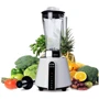 Блендер BioChef Living Food Blender (KT-BL-BC-LF-EU-WH) фото 9