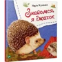 Марiя Жученко: Знайомся, я їжачок