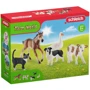 Набір фігурок тварин Schleich FARM WORLD (42386): Тип Набор игровых фигурок
