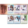 Games7days Парк собак (Dog Park): Возраст от 10-ти лет