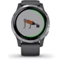 Смарт-годинник Garmin Vivoactive 4 Silver Stainless Steel Bezel w. Shadow Gray and Silicone B. (010-02174-01): Сумісні ОС Android / iOS