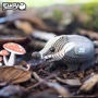 Сборная 3D модель Eugy Зоопарк: Барсук (XEG-094)