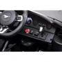 Электромобиль Kidsauto Ford Mustang GT 24V черный лак: Материал корпуса пластик