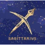 Картина за номерами Ідейка Знак зодіаку Стрілець з фарбою металік 50х50 см (KH9523)