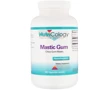 Nutricology Mastic Gum Chios Gum Mastic 240 Veg Caps Смола мастикового дерева