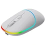 Мышь Canyon MW-22 Dual Band RGB Wireless Snow White (CNS-CMSW22SW): Интерфейс подключения Bluetooth, Wireless