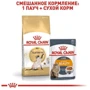 Сухой корм Royal Canin Siamese Adult для взрослых кошек Сиамской породы 2 кг (2551020: Порода Индивидуально для породы
