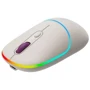 Мышь Canyon MW-22 Dual Band RGB Wireless Rice (CNS-CMSW22RC): Максимальное разрешение сенсора, dpi 1600