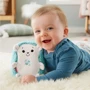 Заспокійлива м'яка іграшка Fisher-Price Їжачок (FXC58): Призначення іграшки Сенсорные навыки, Музыкальное восприятие, Развитие внимания