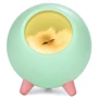 Ночник Спящий кот в домике с сенсорной кнопкой UFT SCH01 Green