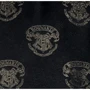 Женская сумка через плечо Loungefly Harry Potter Magical Elements Crossbody Bag черная (HPTB0164): Фактура Матовая, Гладкая