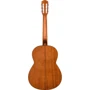 Класична гітара Fender ESC105: Тип Класична гітара