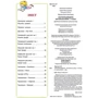 Наочно довідник. Англійська мова. 1-4 клас фото 7