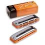 Губная гармоника SEYDEL SESSION STEEL LF-major (10301LF): Тип Диатонические