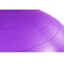 Мяч для фитнеса Hop-Sport HS-R065YB violet 65 см + насос: Вес, кг 0.8