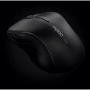 Мышь RAPOO Wireless Optical Mouse gray (3000p): Тип сенсора оптический