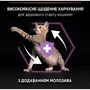 Сухой корм Pro Plan Original Kitten с курицей 400 г (7613036545099) фото 7