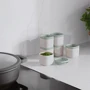 Набір контейнерів Berghoff Leo Balance 160 мл 6 ін. (3950401): Матеріал пластик