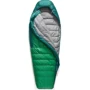 Спальный мешок Sea to Summit Ascent -9C/15F Regular Ra9in Forest Green (STS ASL041101-052003): Тип кокон