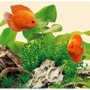 Светильник для аквариума Juwel Nature LED 590 мм (4022573868258): Производитель Juwel
