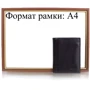 Чоловіче портмоне Grass чорне (SHI336-1): Тип Портмоне