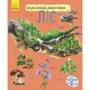Енциклопедія дошкільника. Ліс