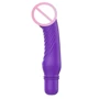 ToyJoy Delight Mini Vibe - вибромассажер, 2.8x19 см