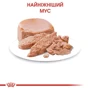 Влажный корм для новорожденных котят Royal Canin Mother & Babycat Cans 195 г (4098002): Порода Все породы