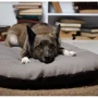 Лежак-подушка Lucky Pet №1 Морфей для собак коричневый 40х50 см (215396): Страна производитель Украина