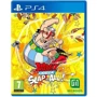 Asterix and Obelix Slap Them All Collectors Edition (PS4): Серия приставки PlayStation 4
