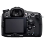 Sony Alpha SLT-A77K Body (UA): Количество мегапикселей 24.2