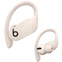 Наушники Beats by Dr. Dre Powerbeats Pro Ivory (MV722/MY5D2): Тип конструкции вакуумные
