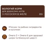 Упаковка влажного корма для котов Club 4 Paws Premium С лососем в желе 24х85 г (4820215369015): Класс Премиум