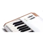 Синтезатор Arturia AstroLab 61 White Version фото 7