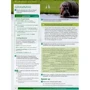 Gold Experience (2nd Edition) C1 Student's Book + Online Practice: Количество страниц 184