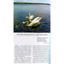 Петро Троневич, Оксана Карлина: Прогулянка Волинню та Луцьком. Путівник: ISBN 978-966-8137-95-2