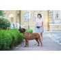 Поводок WAUDOG Waterproof, светящийся 15 мм 122 см ментоловый (2730) фото 7