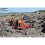 Сборная 3D модель Eugy Зоопарк: Морж (XEG-107)