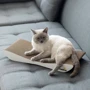 Когтеточка дряпка-лежанка для кошек Say Meow Dream 57x7x24 см (804019010100): Размеры основания 57x7x24 см