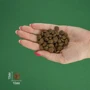 Сухой корм Bravery Chicken Adult Cat корм для взрослых кошек с курицей 600 г (7623 BR CHIC_600 GR): Класс Супер премиум