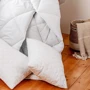 Одеяло ТЕП Alaska microfiber 200х220см (4820185677653): Тип Теплые