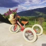 Комплект триколісний беговел Trybike рубіновий TBS-2-RED-VIN+TBS-100-TKV: Колір червоний