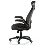 Special4You Briz 2 black (E4961): Максимальная нагрузка, кг 120