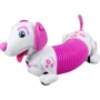 Игрушка робот-собака Silverlit Dash D D Ycoo (88742): Производитель Silverlit