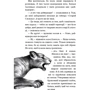 Катя Брендіс: Діти лісу. Книга 5. Ворожі сліди: Количество страниц 336