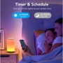 Умный светильник Govee Smart Aura Table Lamp RGBIC Bluetooth+WiFi (H6052): Направленность света Общее освещение