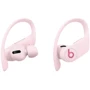 Наушники Beats by Dr. Dre Powerbeats Pro Cloud Pink (MXY72): Тип крепления крепление на ушах