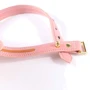 Нашийник з повідцем LOCKINK Sevanda Love Heart Butterfly Leather Collar Set - Pink